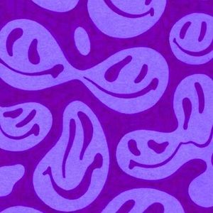 Meet your Posher, Lidia